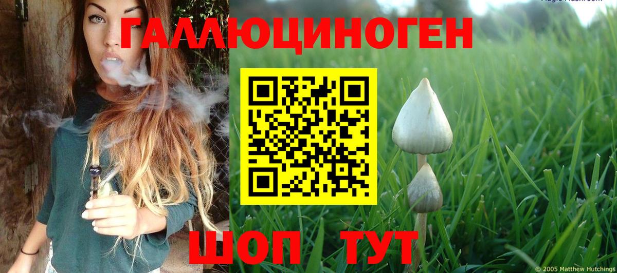 Галлюциногенные грибы GOLDEN TEACHER Тихвин