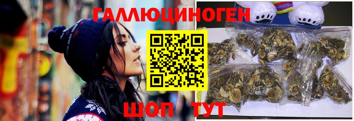 как найти   Псилоцибиновые грибы Psilocybe  Вход с VPN  Тихвин 